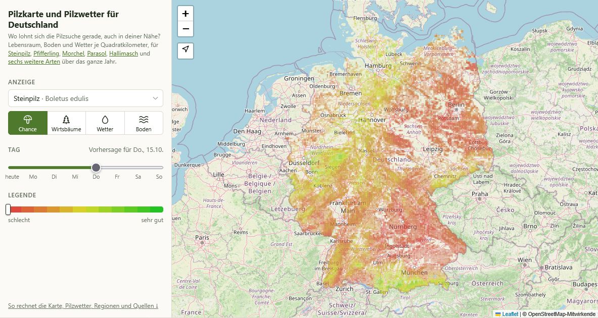 Die Pilzkarte für den Steinpilz mit dem Regler auf Donnerstag, 15. Oktober 2026: gelb bis grün im Sauerland und Siegerland, rot in Brandenburg, Sachsen-Anhalt und weiten Teilen Bayerns