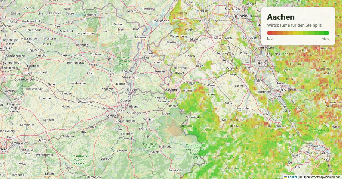 Karte: Wirtsbäume für den Steinpilz rund um Aachen