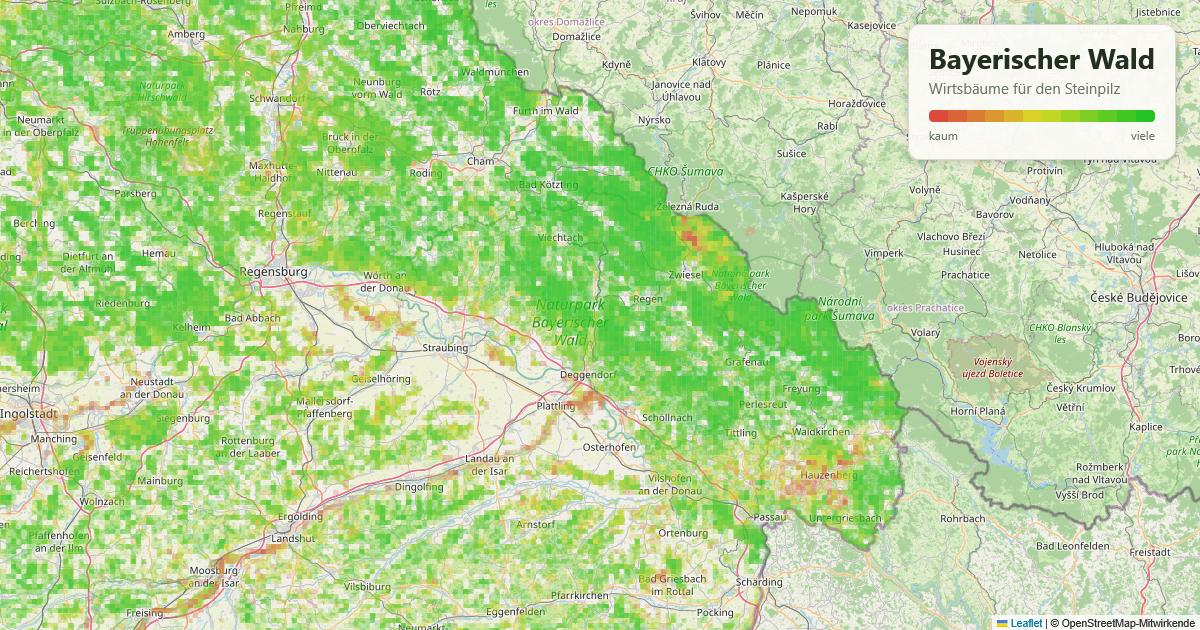 Karte: Wirtsbäume für den Steinpilz im Bayerischen Wald