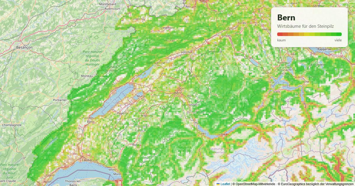Karte: Wirtsbäume für den Steinpilz rund um Bern