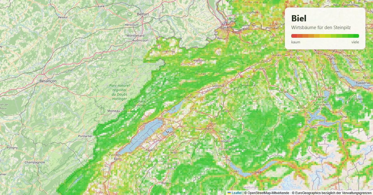 Karte: Wirtsbäume für den Steinpilz rund um Biel