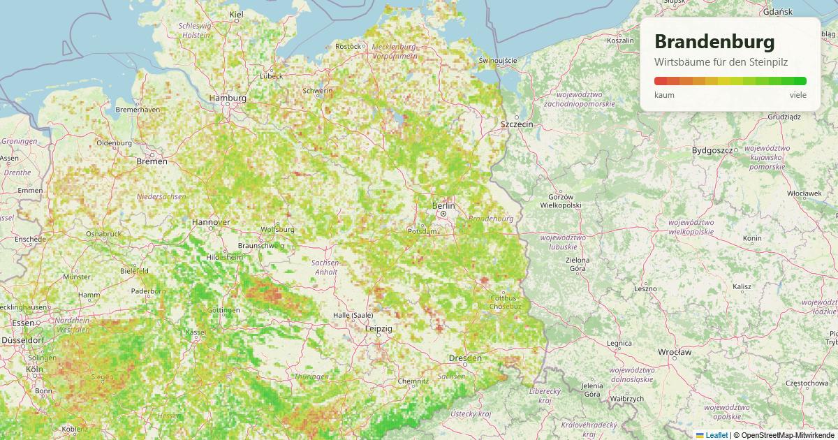 Karte: Wirtsbäume für den Steinpilz in Brandenburg