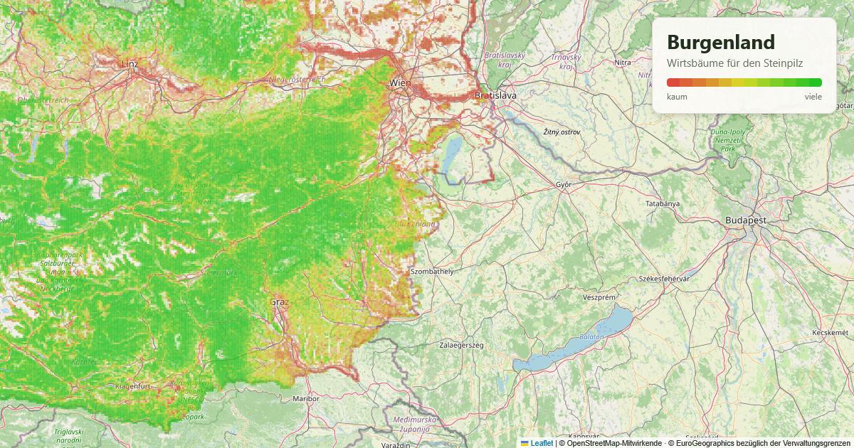 Karte: Wirtsbäume für den Steinpilz im Burgenland