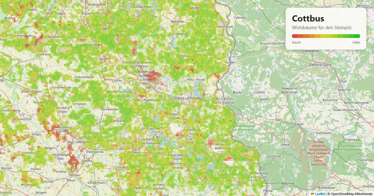 Karte: Wirtsbäume für den Steinpilz rund um Cottbus
