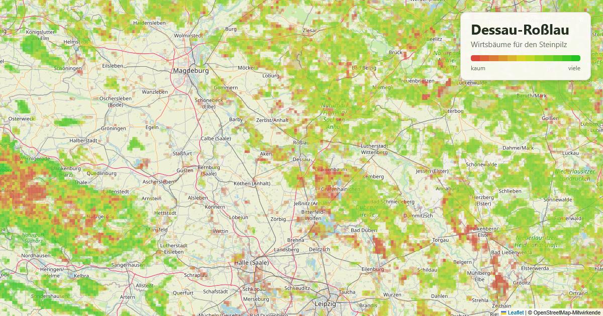 Karte: Wirtsbäume für den Steinpilz rund um Dessau