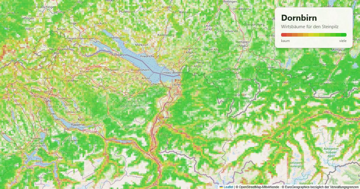 Karte: Wirtsbäume für den Steinpilz rund um Dornbirn