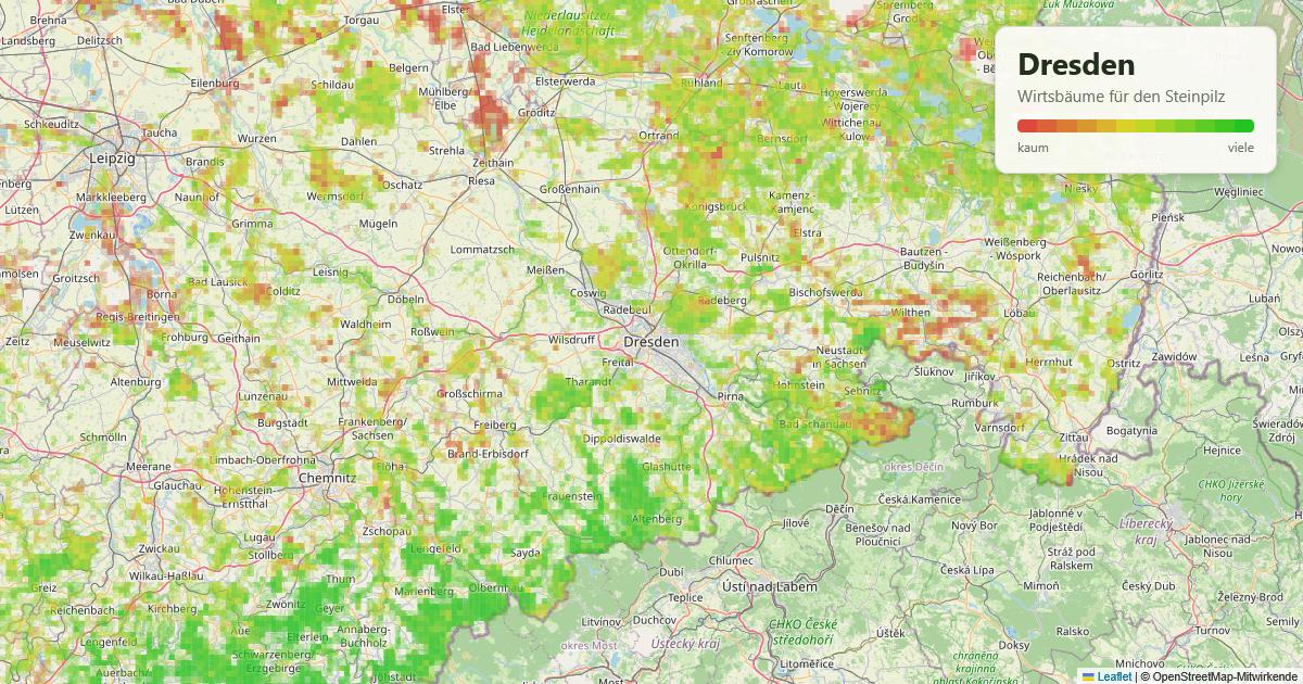 Karte: Wirtsbäume für den Steinpilz rund um Dresden