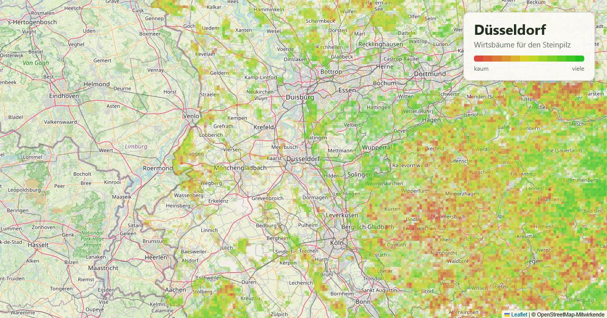 Karte: Wirtsbäume für den Steinpilz rund um Düsseldorf