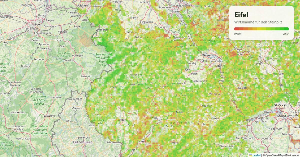 Karte: Wirtsbäume für den Steinpilz in der Eifel