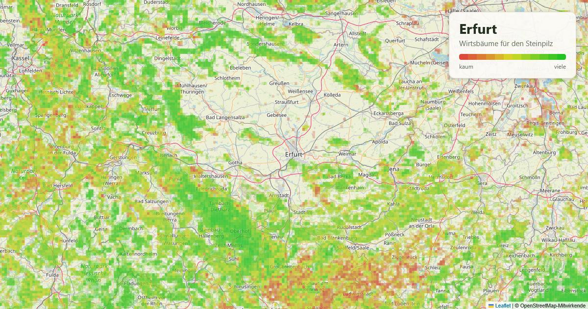 Karte: Wirtsbäume für den Steinpilz rund um Erfurt
