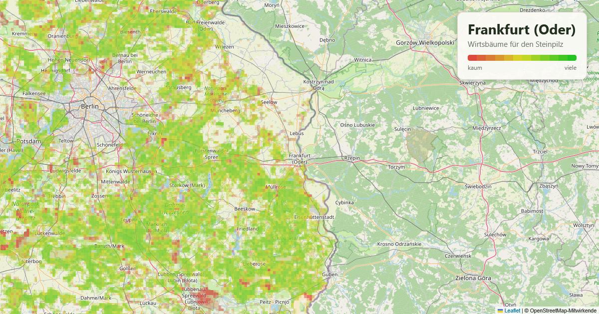 Karte: Wirtsbäume für den Steinpilz rund um Frankfurt (Oder)