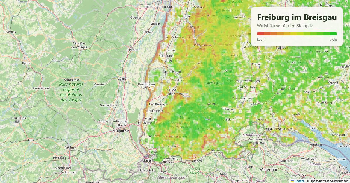 Karte: Wirtsbäume für den Steinpilz rund um Freiburg