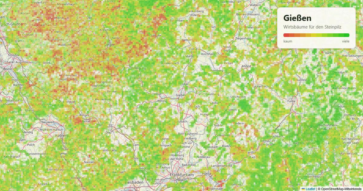 Karte: Wirtsbäume für den Steinpilz rund um Gießen