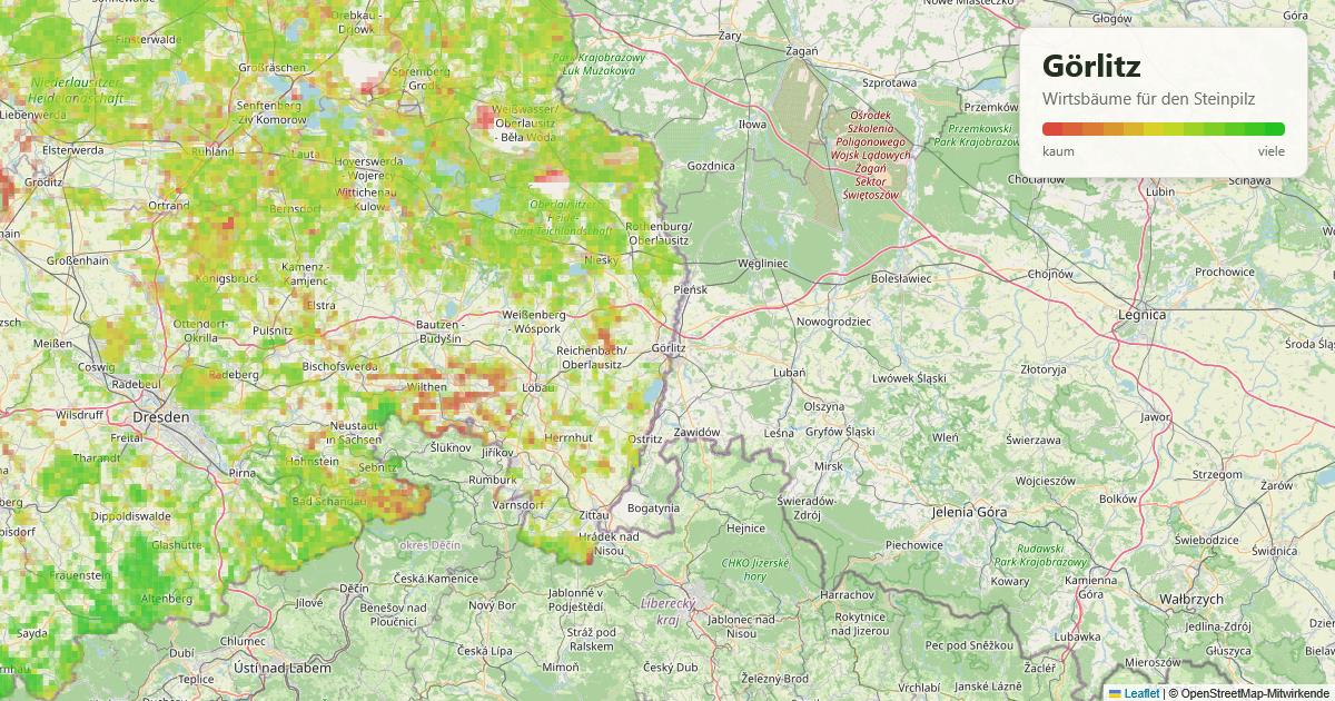 Karte: Wirtsbäume für den Steinpilz rund um Görlitz