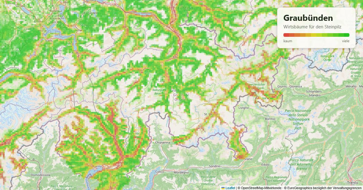 Karte: Wirtsbäume für den Steinpilz in Graubünden