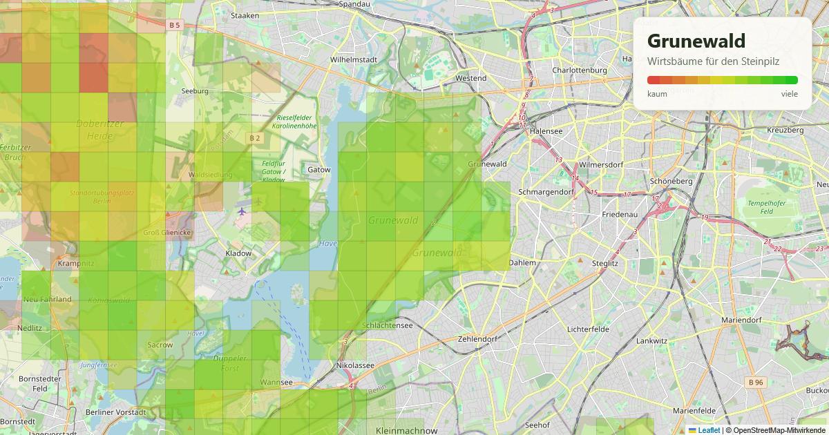 Karte: Wirtsbäume für den Steinpilz im Grunewald