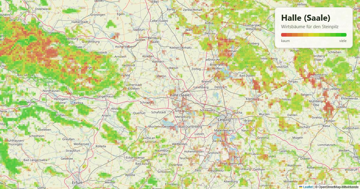 Karte: Wirtsbäume für den Steinpilz rund um Halle