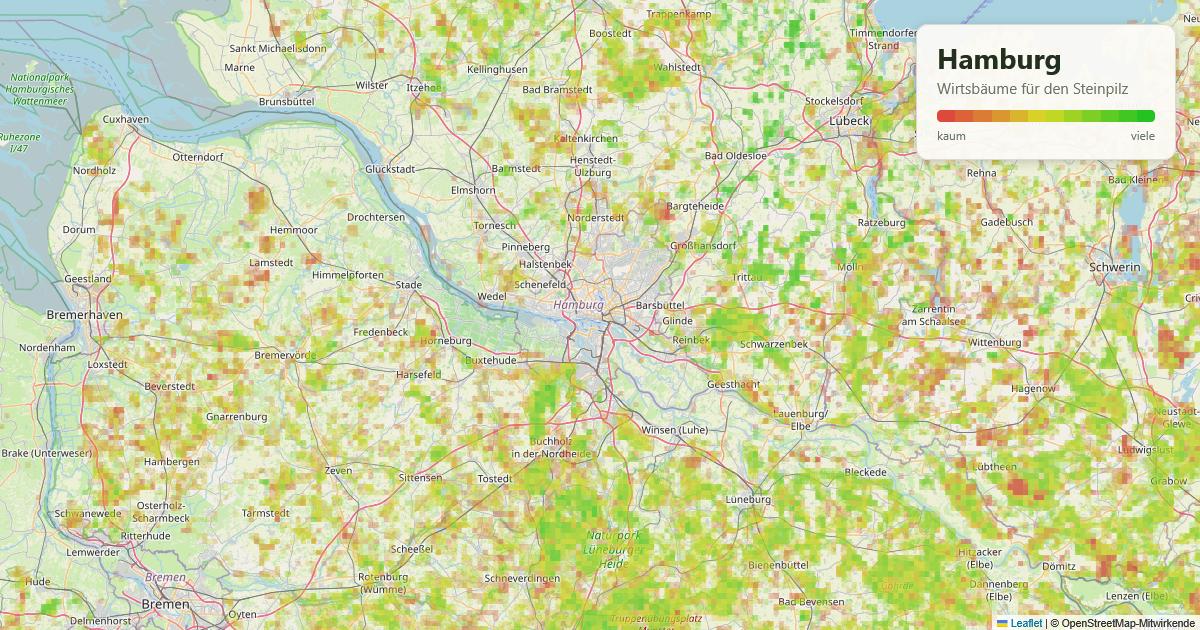 Karte: Wirtsbäume für den Steinpilz in und um Hamburg