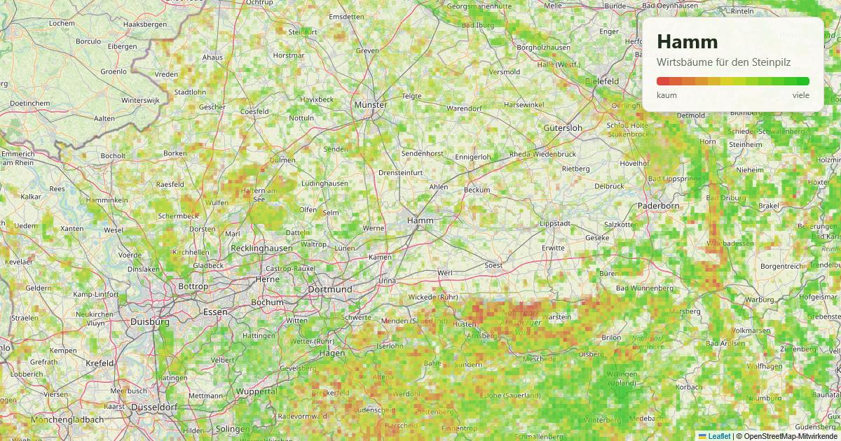 Karte: Wirtsbäume für den Steinpilz rund um Hamm