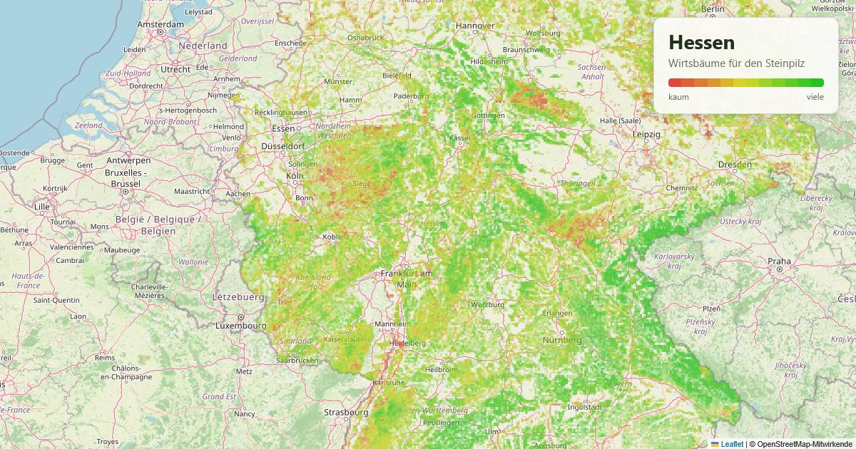 Karte: Wirtsbäume für den Steinpilz in Hessen