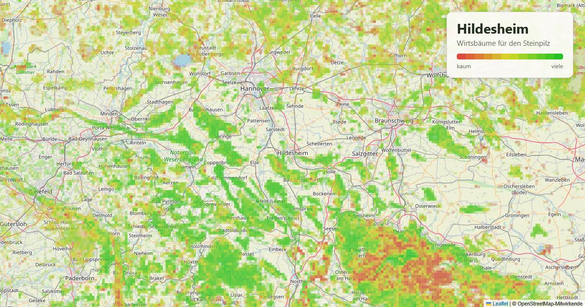 Karte: Wirtsbäume für den Steinpilz rund um Hildesheim