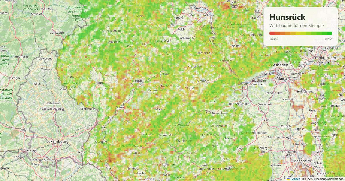 Karte: Wirtsbäume für den Steinpilz im Hunsrück