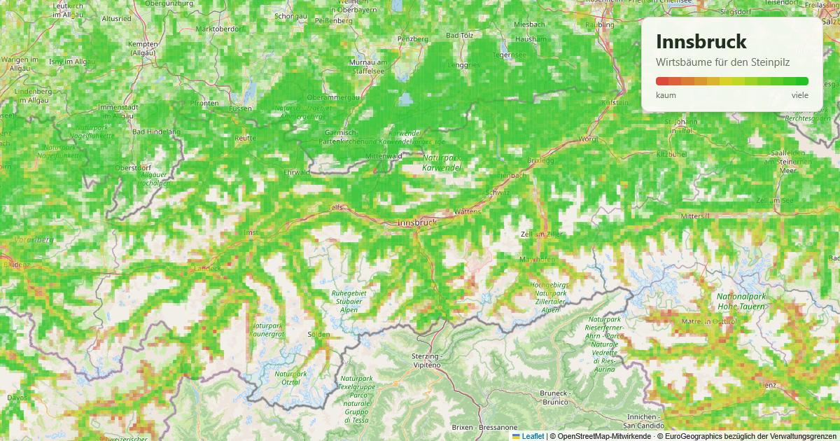 Karte: Wirtsbäume für den Steinpilz rund um Innsbruck