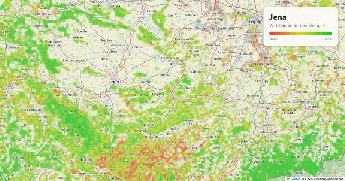 Karte: Wirtsbäume für den Steinpilz rund um Jena