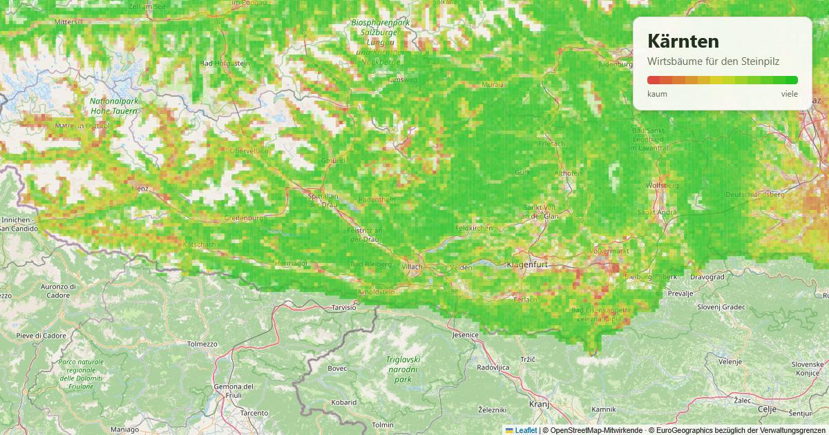 Karte: Wirtsbäume für den Steinpilz in Kärnten