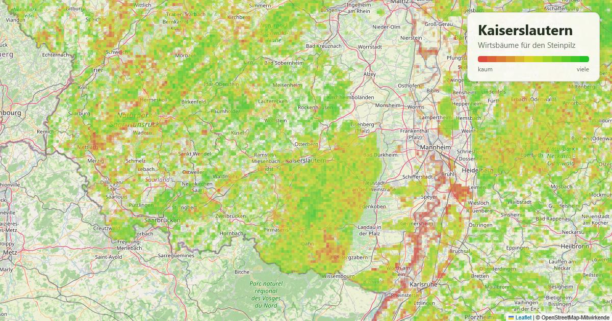 Karte: Wirtsbäume für den Steinpilz rund um Kaiserslautern