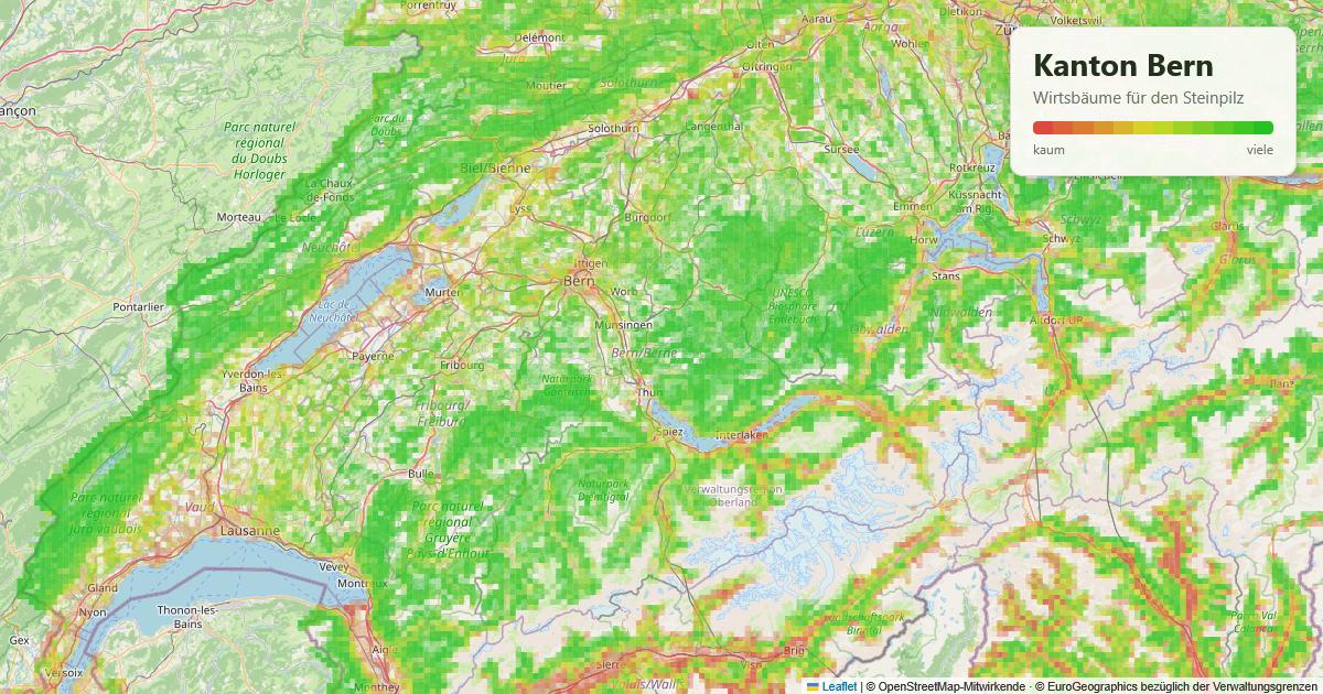 Karte: Wirtsbäume für den Steinpilz im Kanton Bern