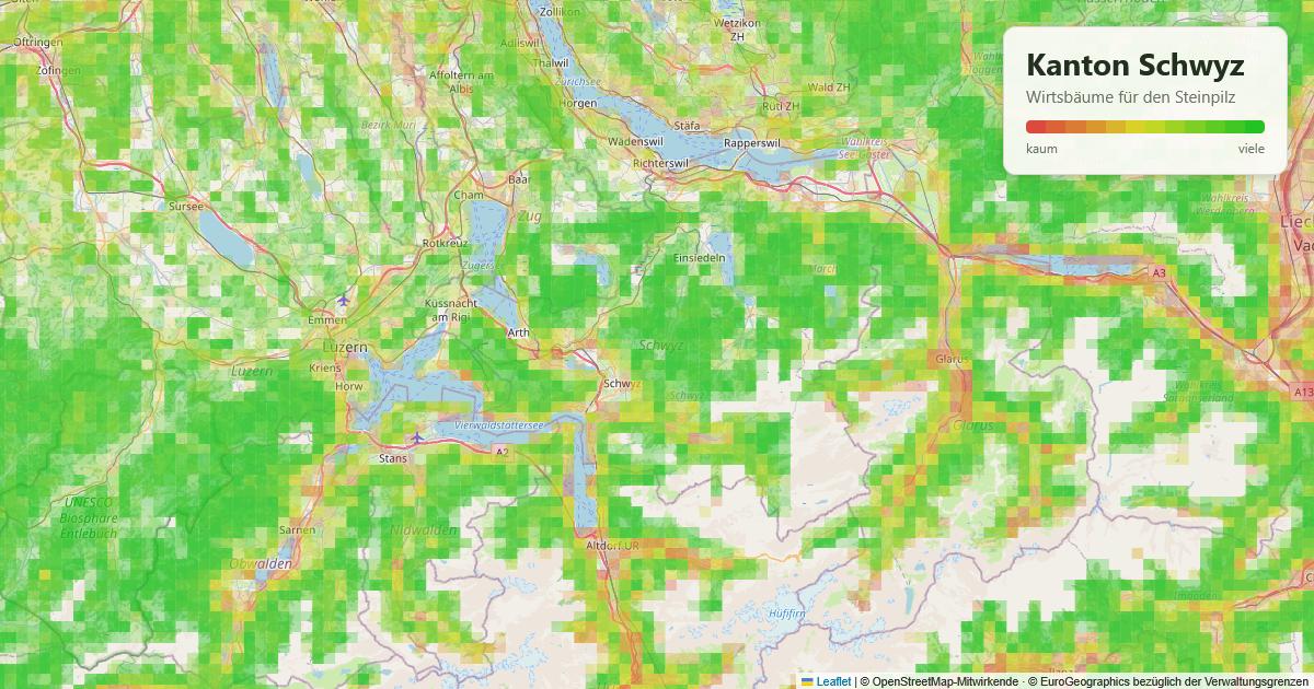 Karte: Wirtsbäume für den Steinpilz im Kanton Schwyz