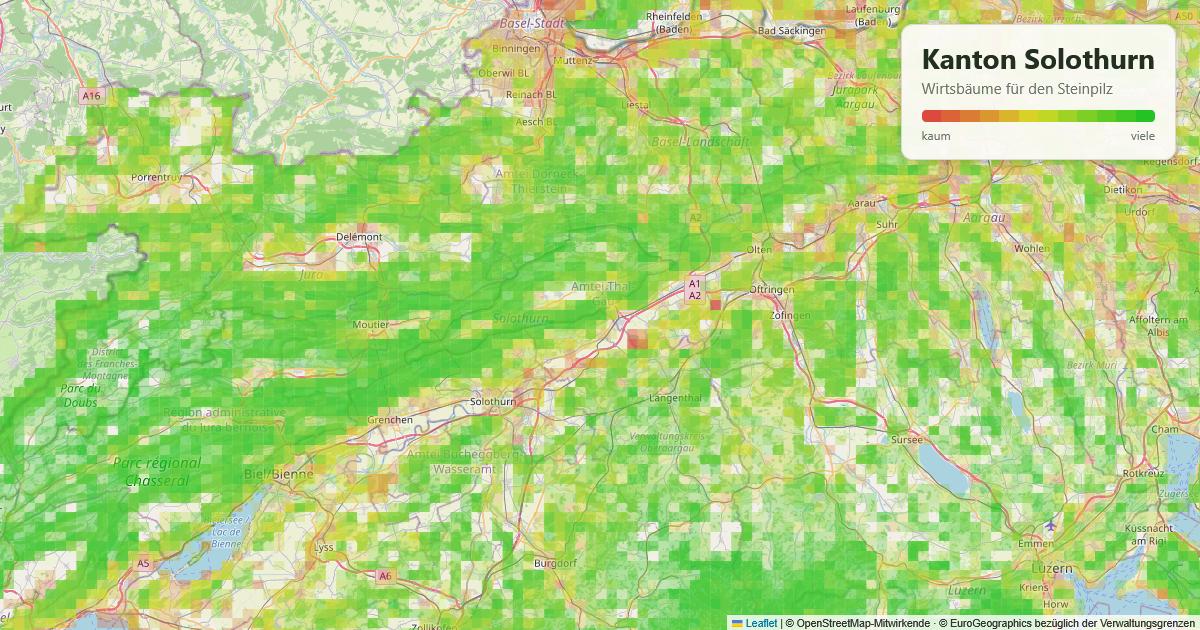 Karte: Wirtsbäume für den Steinpilz im Kanton Solothurn