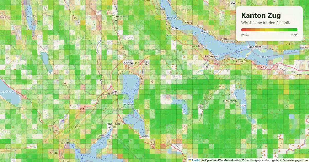 Karte: Wirtsbäume für den Steinpilz im Kanton Zug