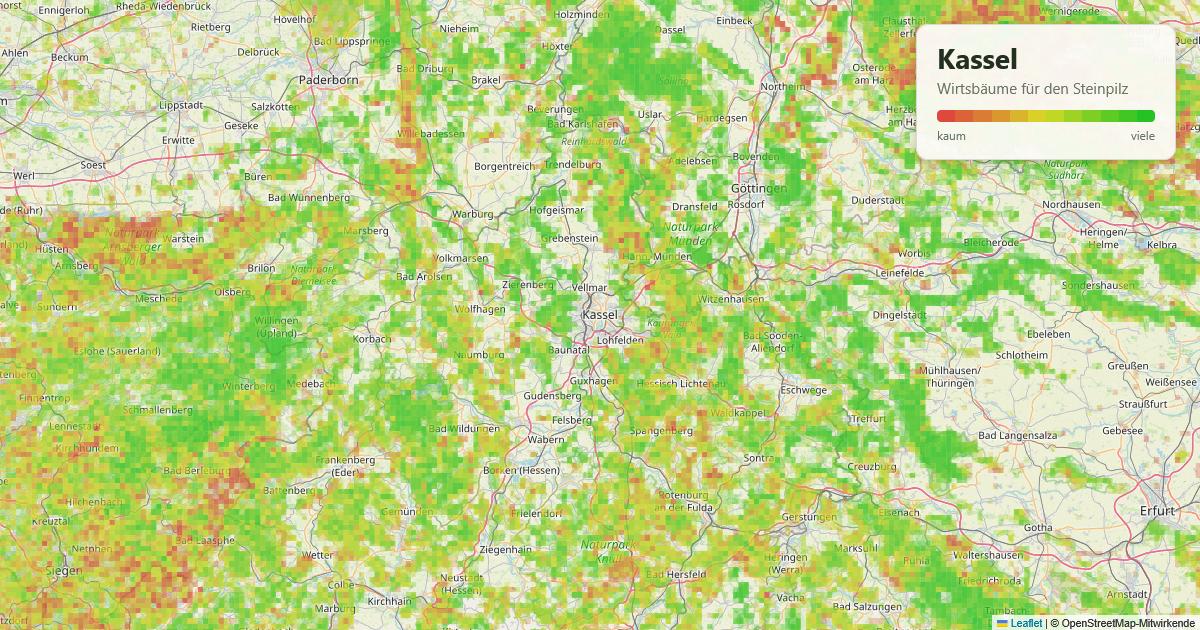 Karte: Wirtsbäume für den Steinpilz rund um Kassel