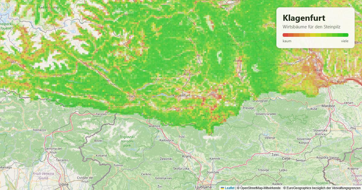 Karte: Wirtsbäume für den Steinpilz rund um Klagenfurt