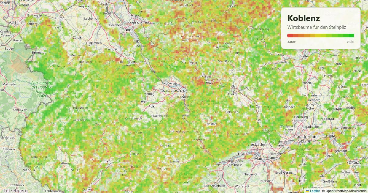 Karte: Wirtsbäume für den Steinpilz rund um Koblenz