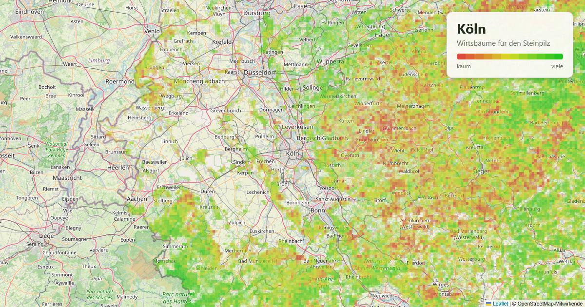 Karte: Wirtsbäume für den Steinpilz rund um Köln