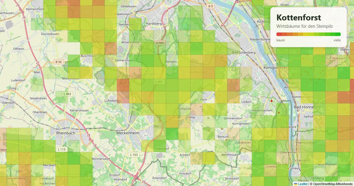 Karte: Wirtsbäume für den Steinpilz im Kottenforst