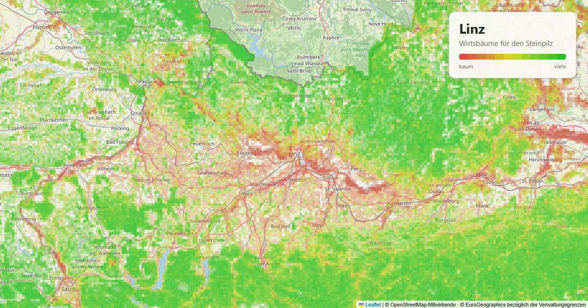 Karte: Wirtsbäume für den Steinpilz rund um Linz