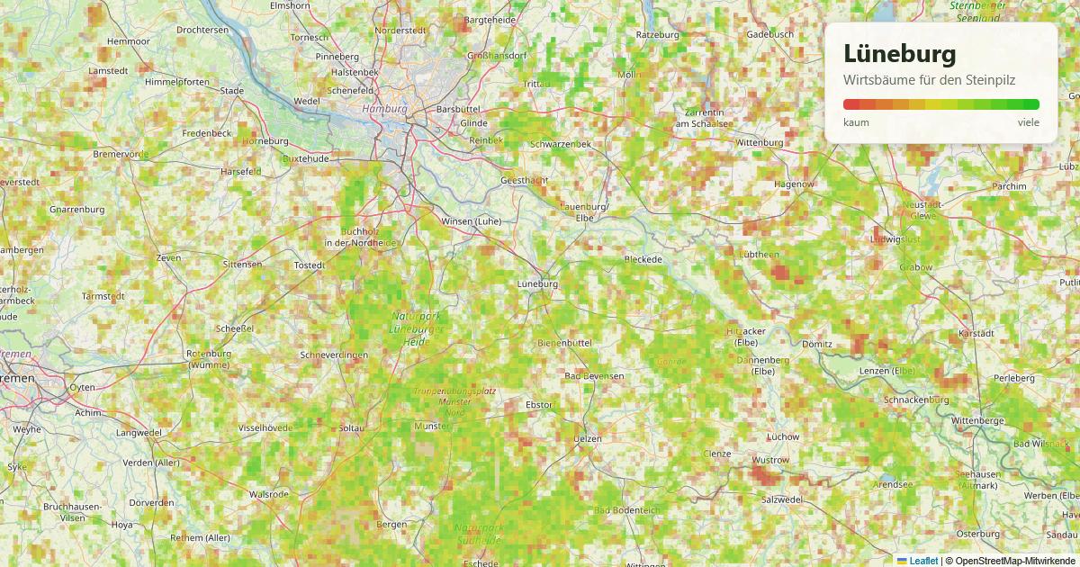 Karte: Wirtsbäume für den Steinpilz rund um Lüneburg