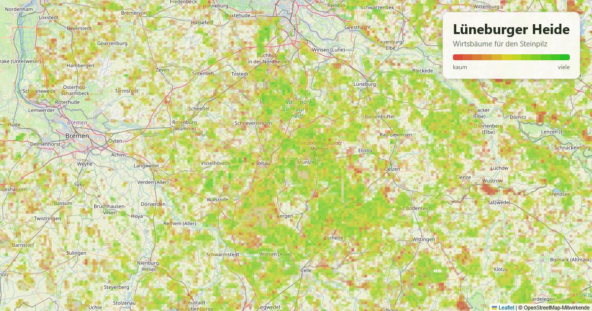 Karte: Wirtsbäume für den Steinpilz in der Lüneburger Heide