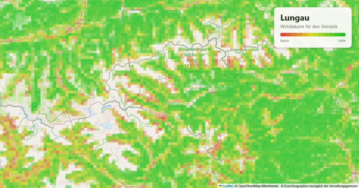 Karte: Wirtsbäume für den Steinpilz im Lungau