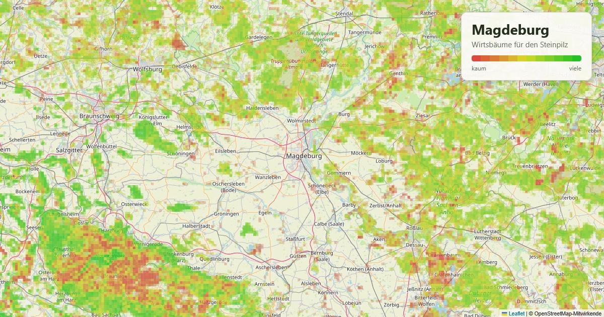 Karte: Wirtsbäume für den Steinpilz rund um Magdeburg