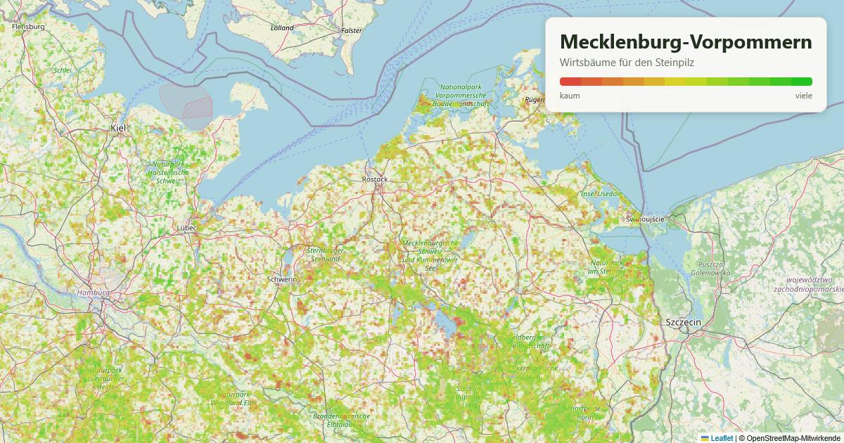 Karte: Wirtsbäume für den Steinpilz in Mecklenburg-Vorpommern