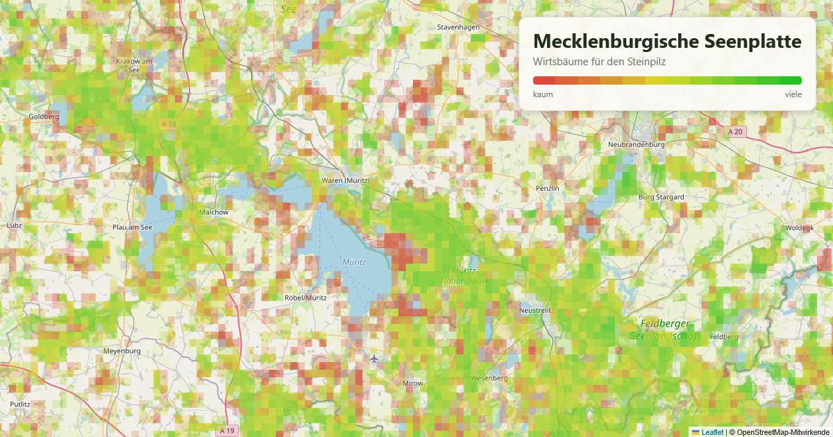 Karte: Wirtsbäume für den Steinpilz an der Mecklenburgischen Seenplatte