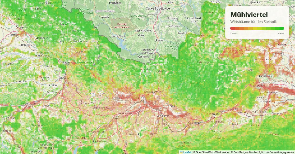 Karte: Wirtsbäume für den Steinpilz im Mühlviertel