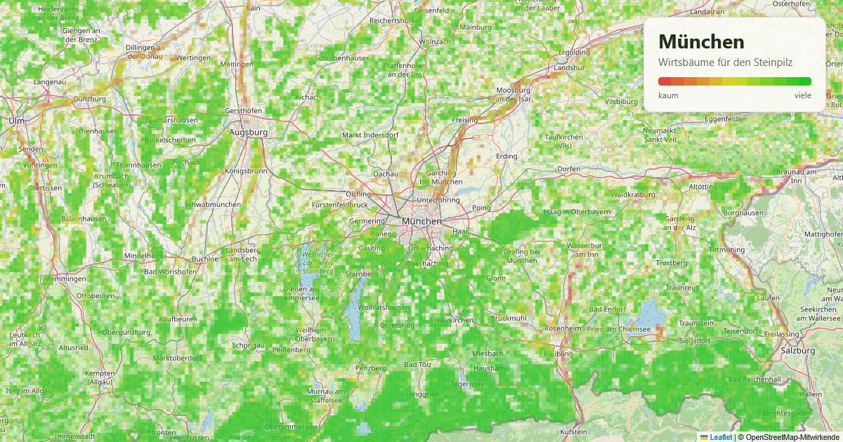 Karte: Wirtsbäume für den Steinpilz rund um München