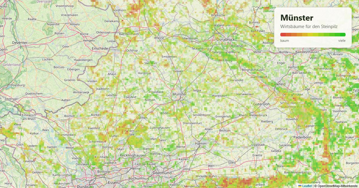 Karte: Wirtsbäume für den Steinpilz rund um Münster