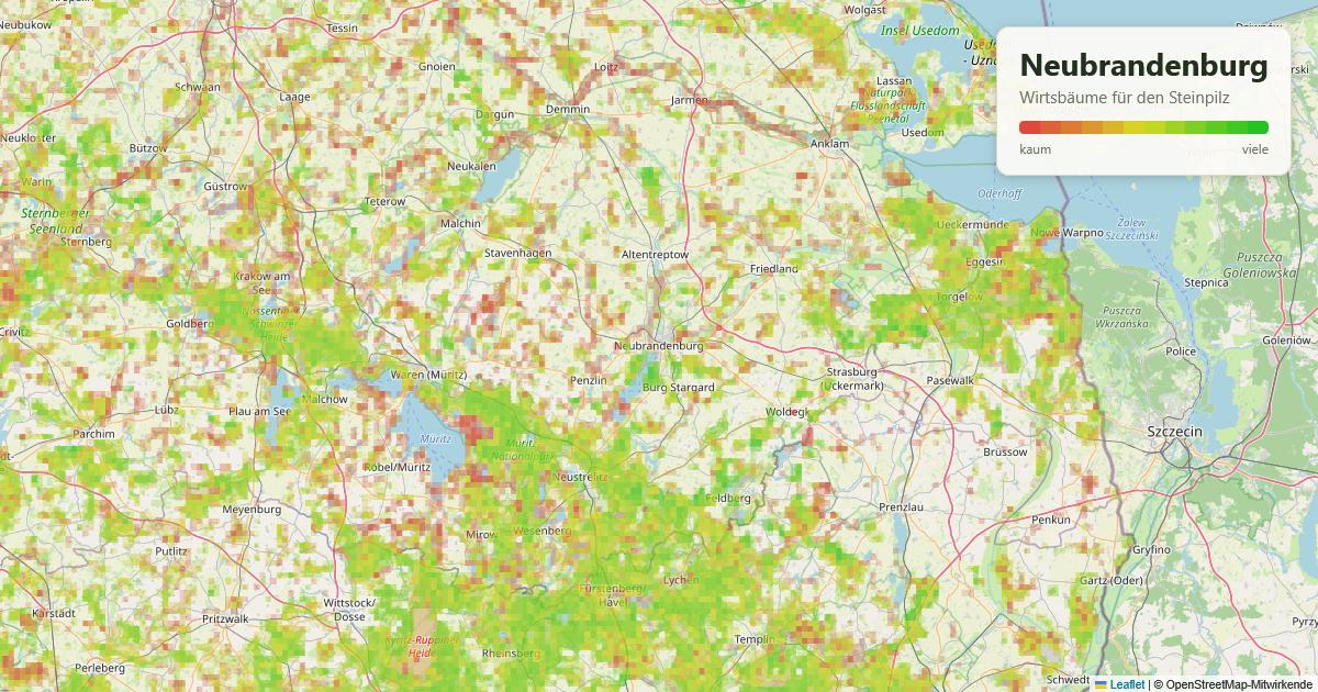 Karte: Wirtsbäume für den Steinpilz rund um Neubrandenburg